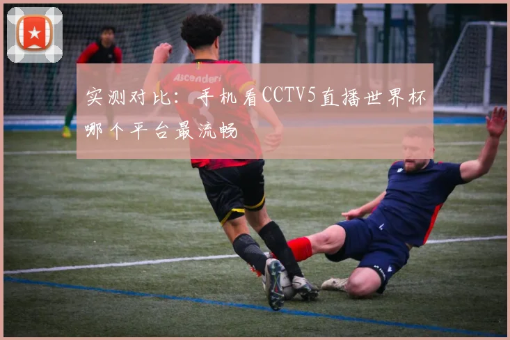 实测对比:手机看CCTV5直播世界杯哪个平台最流畅