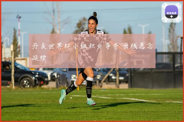 丹麦世界杯小组积分争夺 出线悬念延续